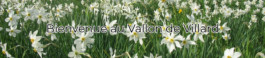 Bienvenue au Vallon de Villard