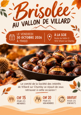 Société des intérêts du vallon de Villard (S.I.V.)